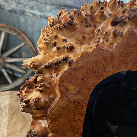 Birds Eye Maple Burl Wood Slab Raw Edge Lab Painting Varnish Wall Art Oregon - Picture 8 of 12